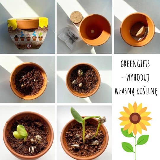 gadżety z nasionami DIY gadżety z nasionami DIY