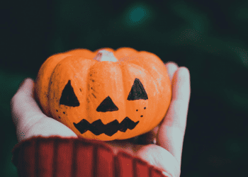 halloween dynia halloween dynia