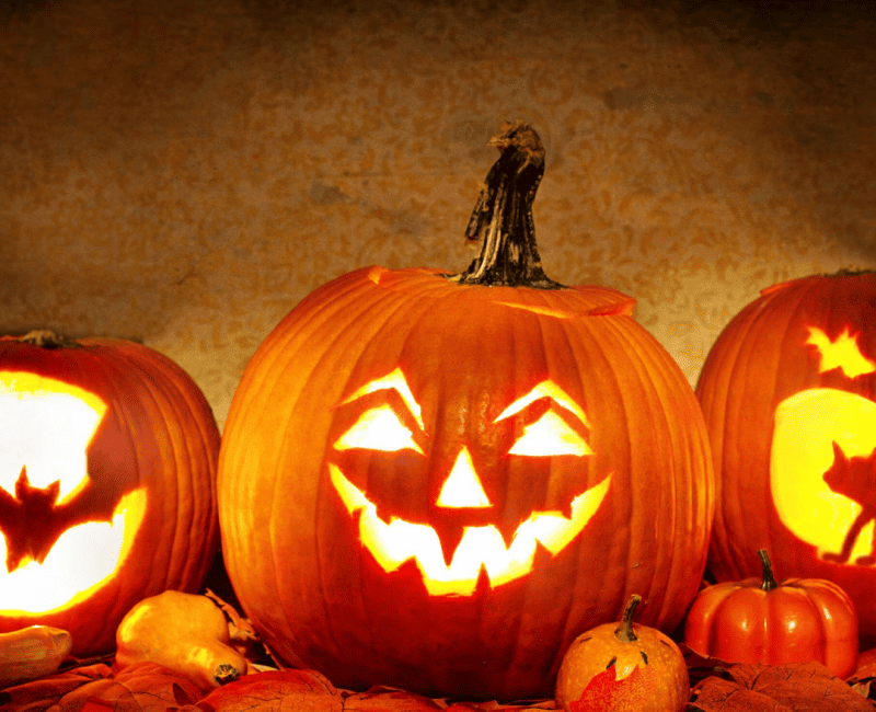 halloweeen dynia halloweeen dynia