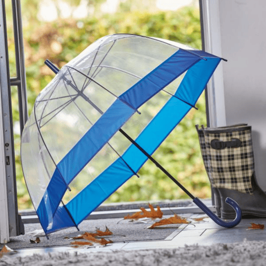 parasol transparentny