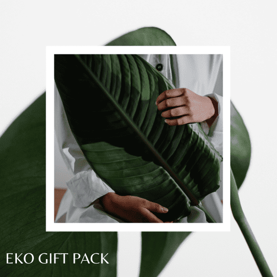 eko gift pack