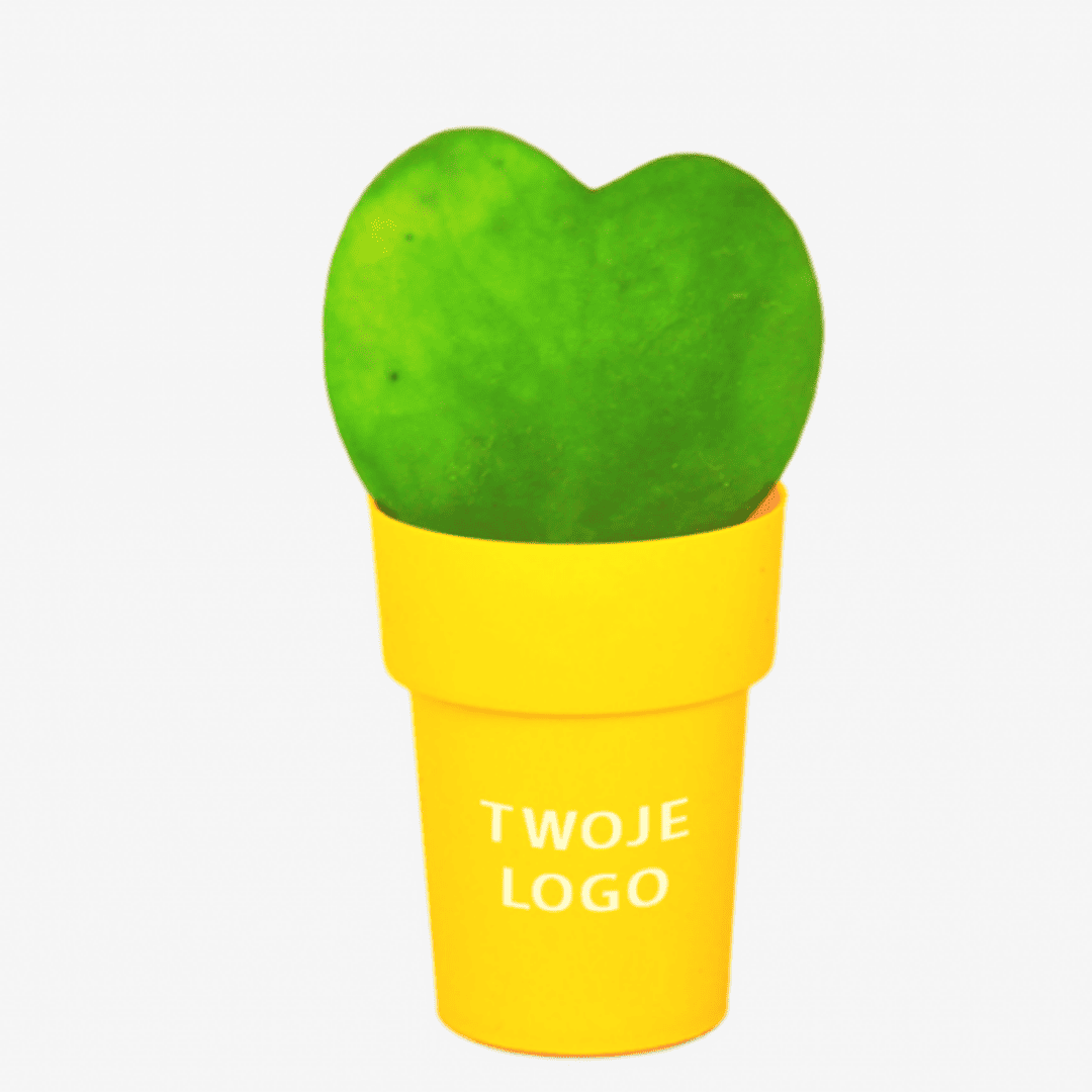 rośliny reklamowe z logo