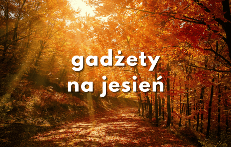 artykuły dla firm na jesień