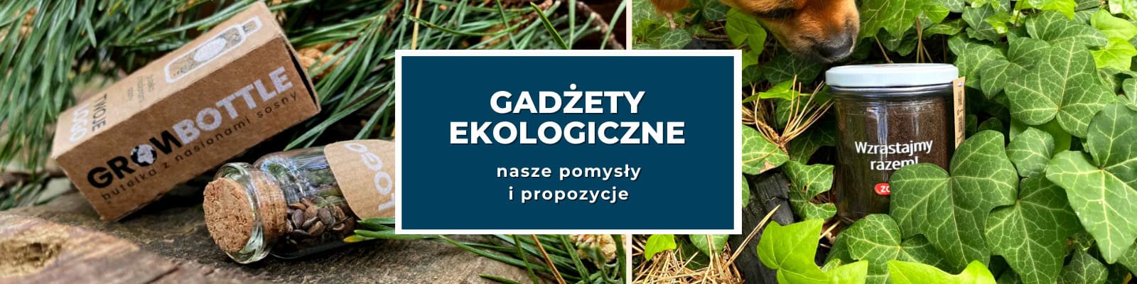 gadżety eko dla firm
