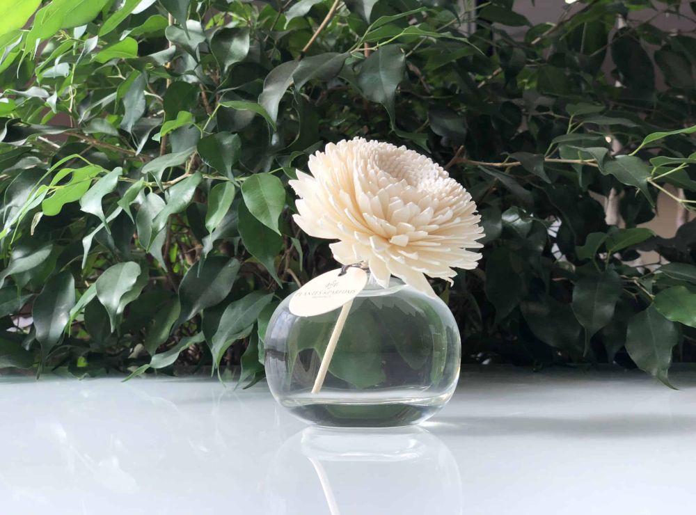 Plantes & Parfums - Dyfuzory zapachowe dla korporacji Plantes & Parfums gadżety b2b