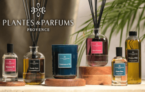 plantes parfums b2b