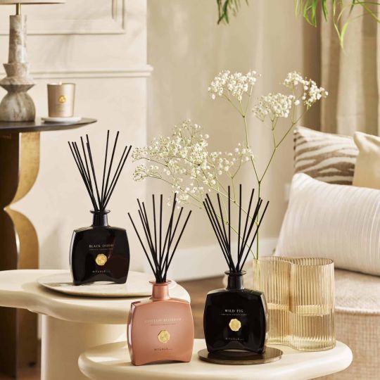 Wild Fig Fragrance Sticks Wild Fig Fragrance Sticks