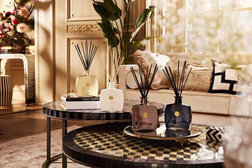 Wild Fig Fragrance Sticks